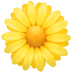 :blossom: :blossom: